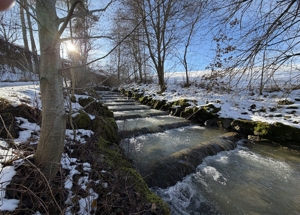 Die Wyna beim morgendlichen Treppensteigen bei der Badi Beromünster. Bild: Martin Sommerhalder
